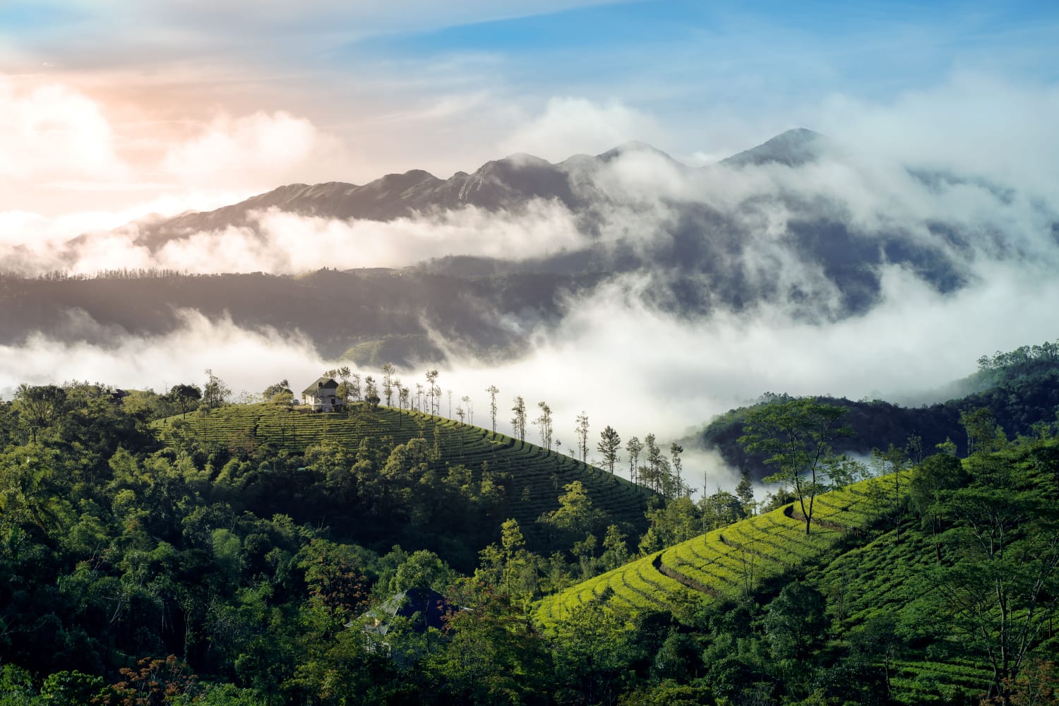 Munnar