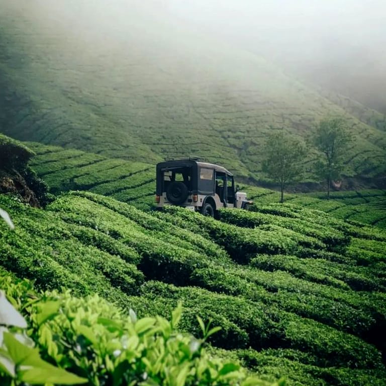 Thekkady