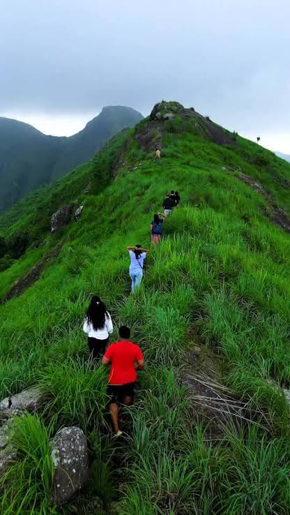 Wayanad